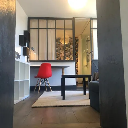 Appartement Superbe Duplex De Charme T2 Centre Gare 5 Min
